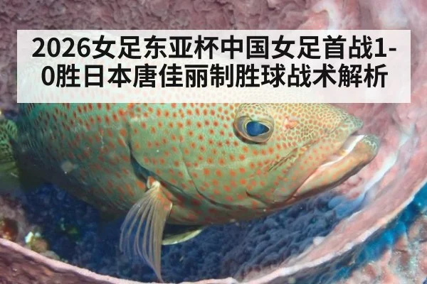2026女足东亚杯中国女足首战1-0胜日本唐佳丽制胜球战术解析